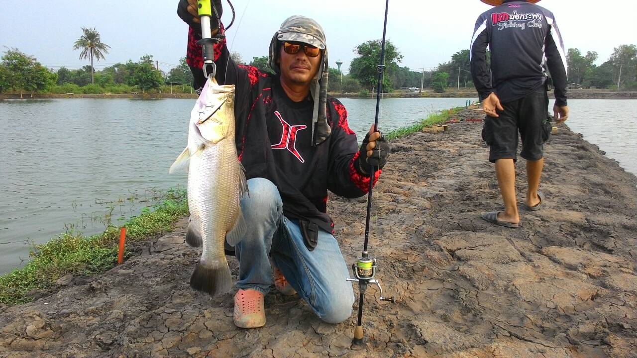 น้าสุชัย กับกระพงเก่า เหยื่อ RAPALA Husky Jerk 12 cm.