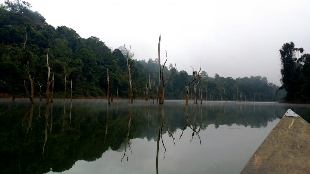 เมื่อเรือเริ่มออกเดินทางเข้าสู่บริเวณป่าต้นน้ำมนคลองแสง ความงามของธรรมชาติช่างงดงามเหลือเกิน