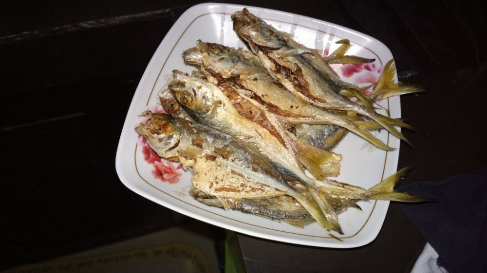 เล็กทอดกรอบไปเลย ปลาเล็กก้ปลาเหมือนกัน กินได้