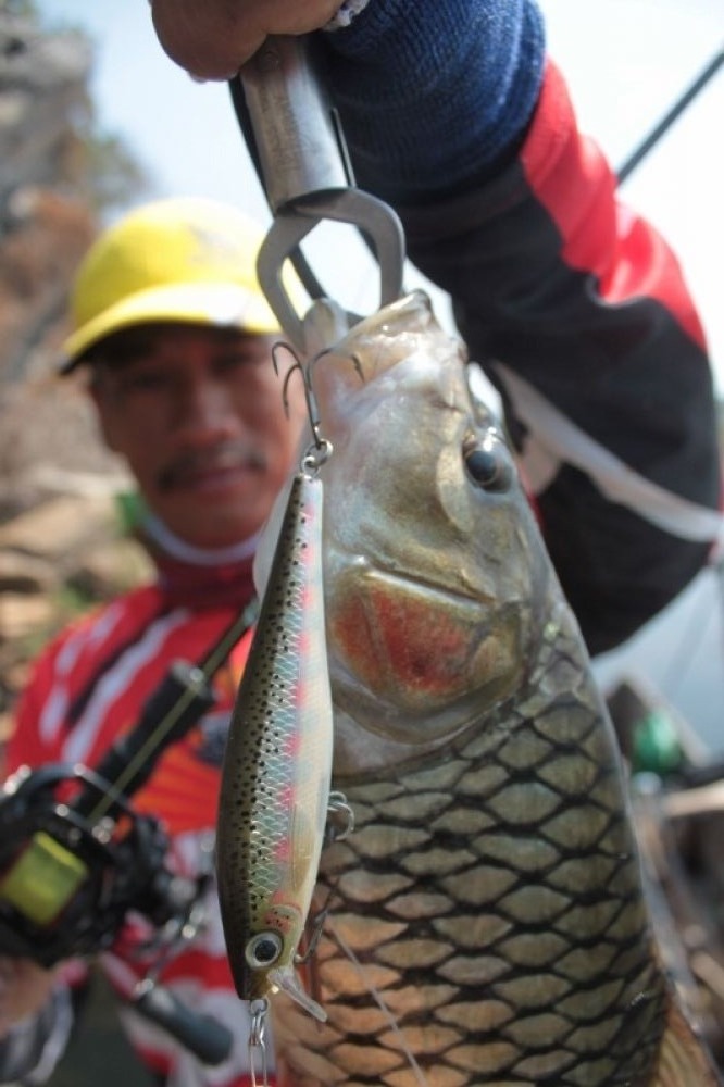 ^^RAPALA BX MINNOW^^