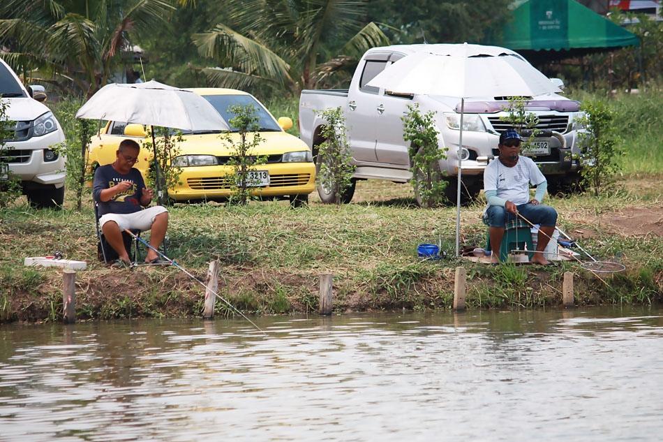 ดูในห้องภาพต่อ