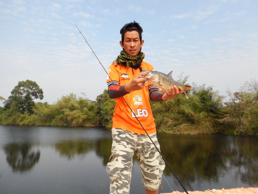 

มารูปนี้ ใช้ได้ละ 

ผู้ตก:   kitz angler

คันเบ็ด:rapala shadow 

เหยื่อ:  storm so-run mi