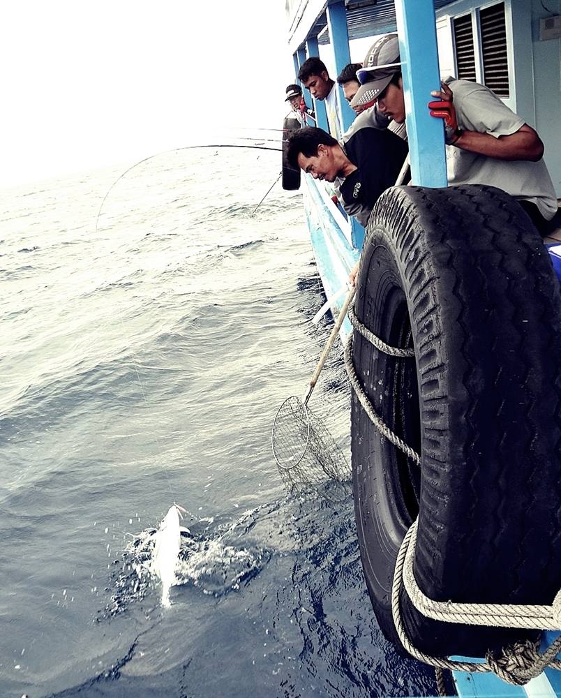 .

[q][center]   เสียงเฮดังมาจากข้างเรือ  เอาแล้ว ข้างเรือปล่อยของแล้ว... เห็นบอกปลาใหญ่กัดจิ๊ก !!