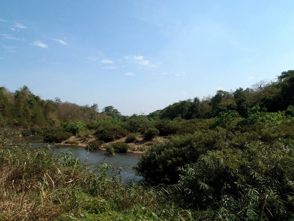 [center]เป็นหาดด้านท้ายและด้านบนเป็นแก่ง เหมาะอย่างยิ่งสำหรับการซุ่มโจมตีเหยื่อของปลากระสูบ[/center]