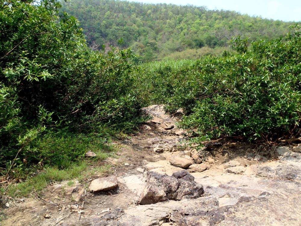 [center]ได้ยินเสียงน้ำชัดเจนแล้วครับ ณ จุดนี้
 :smile: :smile: :smile:[/center]