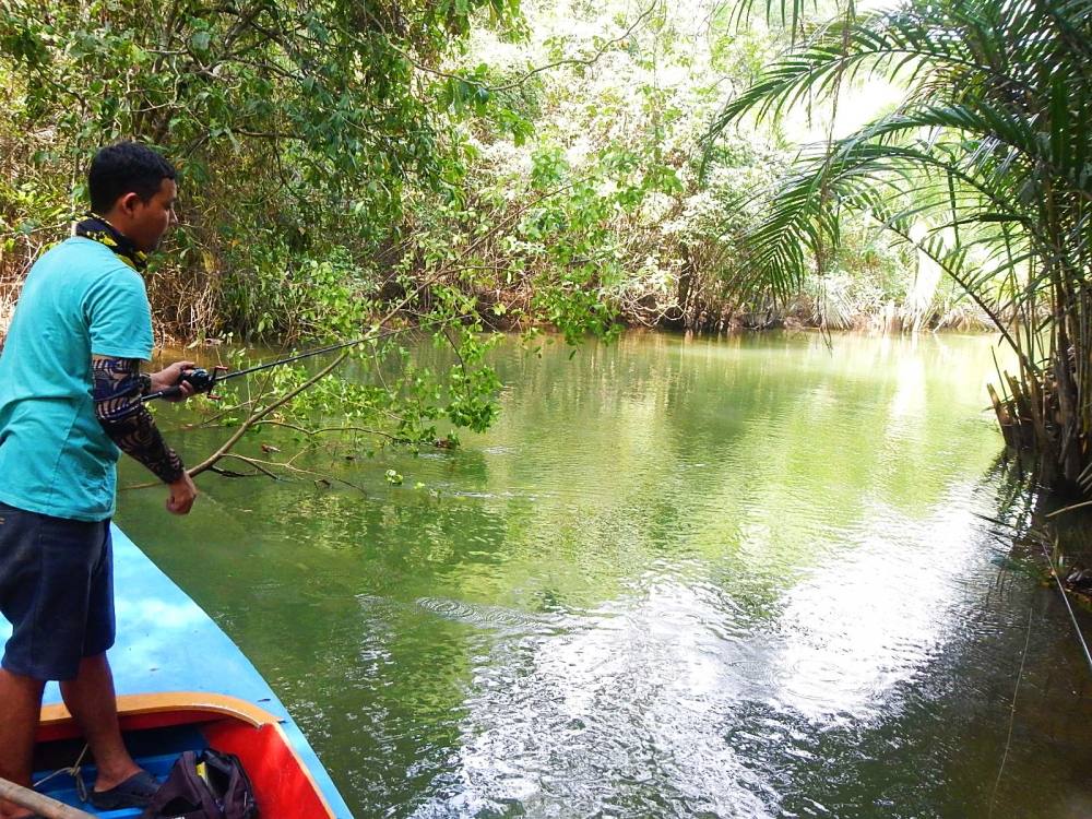 
 [center]จุดนี้ทำให้เราลอยเรืออยู่นานครับ เพราะก่อนพายเข้าเราได้เห็นมีปลาล่าเหยื่อขึ้นไล่กัดปลาเล็