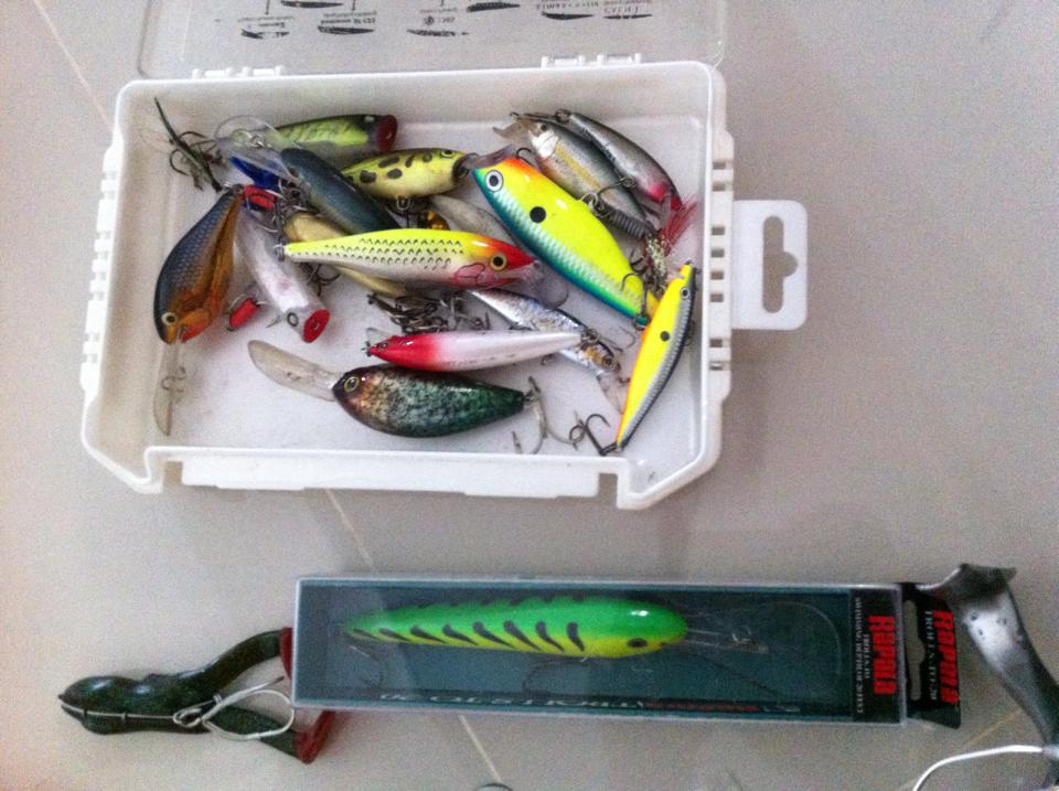  


[center] [b]    I Love rapala      [/b][/center]

