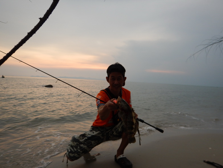 เก๋าหินริมหาดทราย