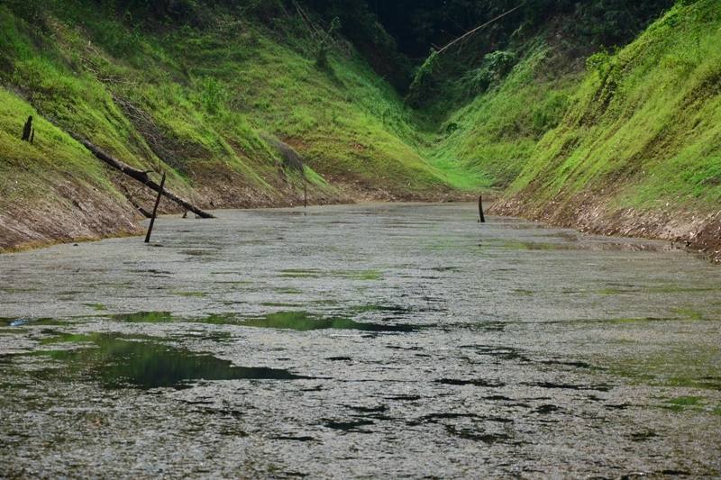 นี่มันหมายนางแบบชัดๆ สวยเกิน