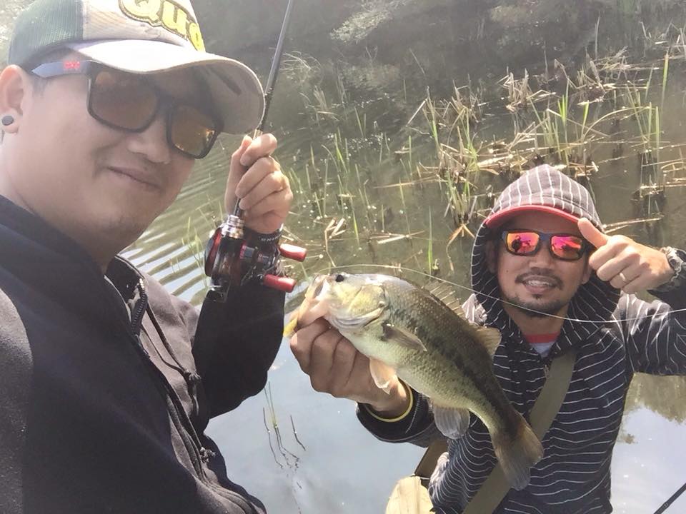 Bass  Bass     :cool: