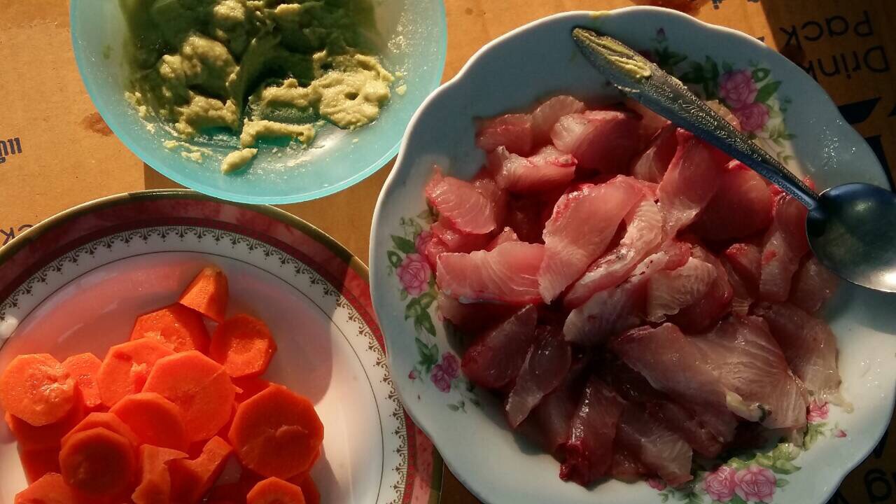 ระหว่างเดินทางไปหลักจัสมินเราก็ได้เรนโบมาหลายตัวจากการทอลิ่ง ก็จัดการทำปลาดิบซะเลย เนื้อเรนโบจะค่อนข