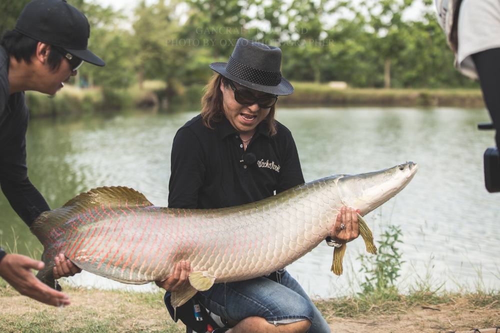 เฮีย ขออุ้มหน่อย  เบาๆชิวๆๆ   ดูเม็ดเหงื่อ สิครับ  :laughing: :laughing: :laughing: