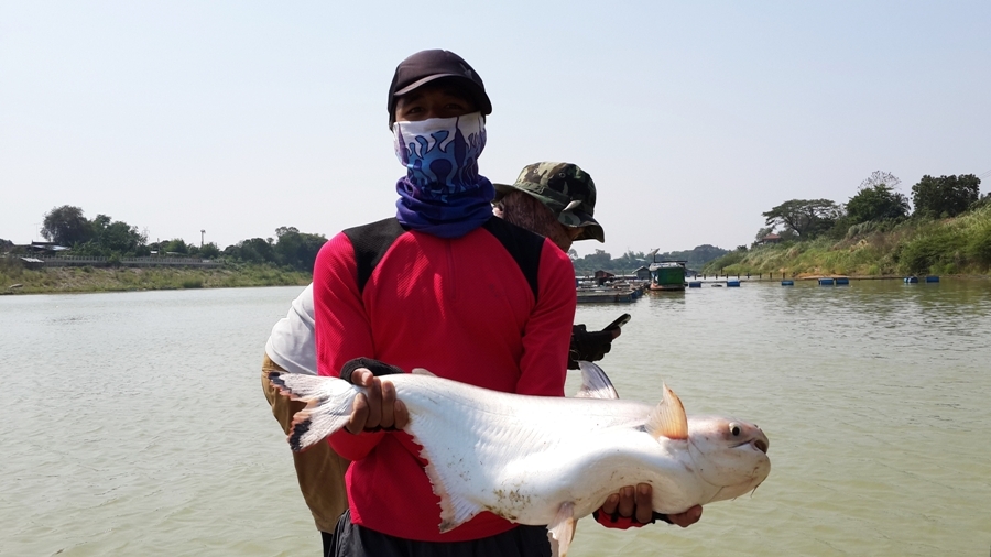 

 [center] :grin: :grin: :grin: :grin: :grin: :grin: :grin: :grin: :grin:[/center]

