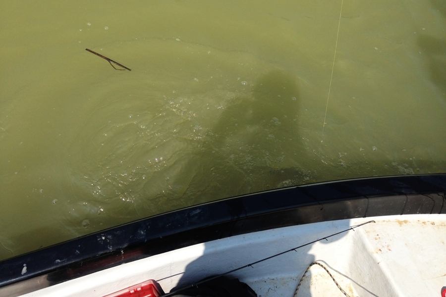 

 [center] [b]ถึงคิวผมโดนมั่งแล้ว[/b][/center]

 [center] :grin: :grin: :grin: :grin: :grin: :g