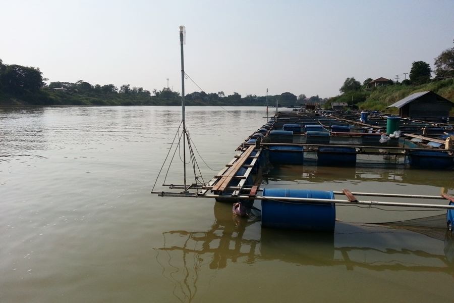 

 [center] :grin: :grin: :grin: :grin: :grin: :grin: :grin: :grin: :grin: :grin: :grin: :grin:[/c