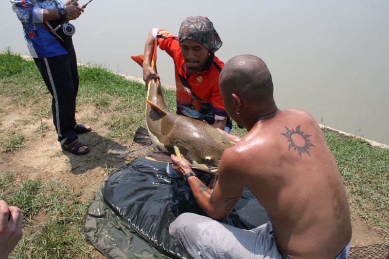 ได้ตัวขึ้นมาก็จัดระเบียบถ่ายภาพครับ