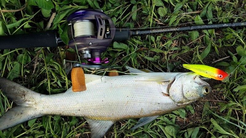  [center][b]

** จัดมาหนึ่งแต้มก่อนล่ะครับ......แสดงว่าน่าจะพอมีตัวบ้าง

Rapala popper 7 cm.

