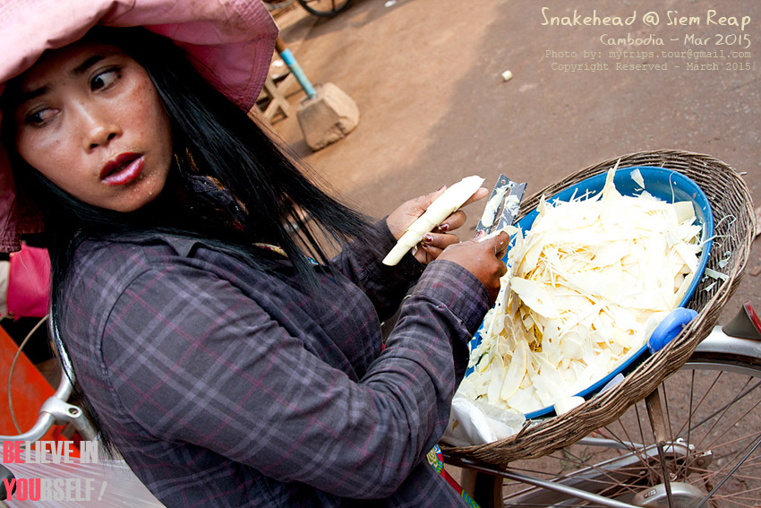 หน่อไม้สดๆ กันไหม?  [i][Subtitle: Would you care for a fresh bamboo?][/i] :grin: