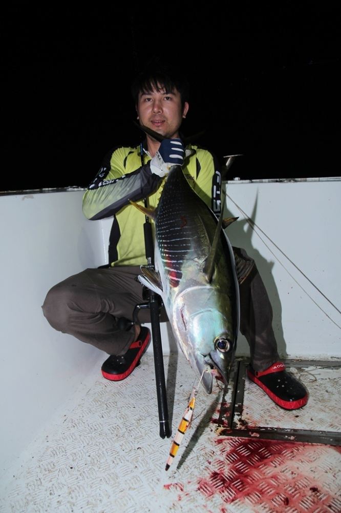 Rod:Spartans monter HunterPe4-8
Reel:Shimano Stella 20000pg
Line:Shimano Ocea pe6 .
Lure: Spartan