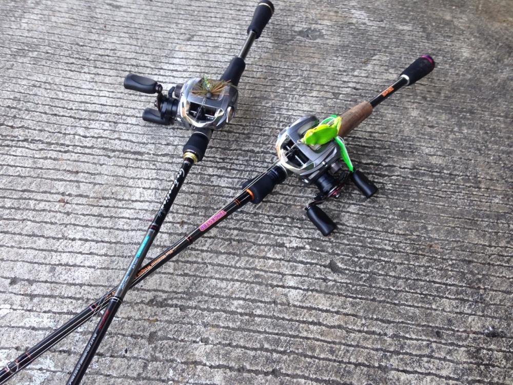 Rod: major craft Go.Emotion BFS
Reel: daiwa ss sv 6.3
Line: sunline fc sniper 10lb
Lure: Jackson 