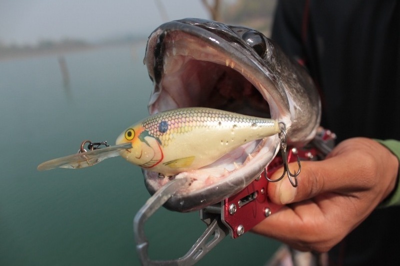 RAPALA RISTO  RAP.....เหยื่อดำลึกทีทุกคนต้องมีไว้หาปลากันนะครับ...แค่..เหยือเป็นรู....หรือจะสู้แลกได