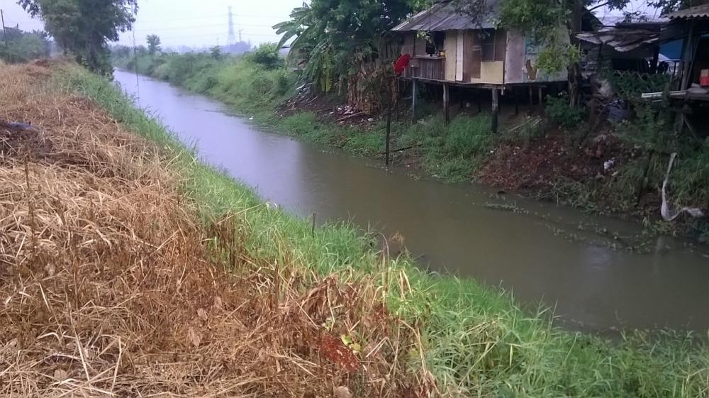 

 [center]บรรยากาศดีมาก ฝนตกปรอยๆ เย็นชื่นใจครับ คิดว่าปลาเล็กปลาน้อยคงชื่นฉ่ำ หลังอากาศร้อนมานาน