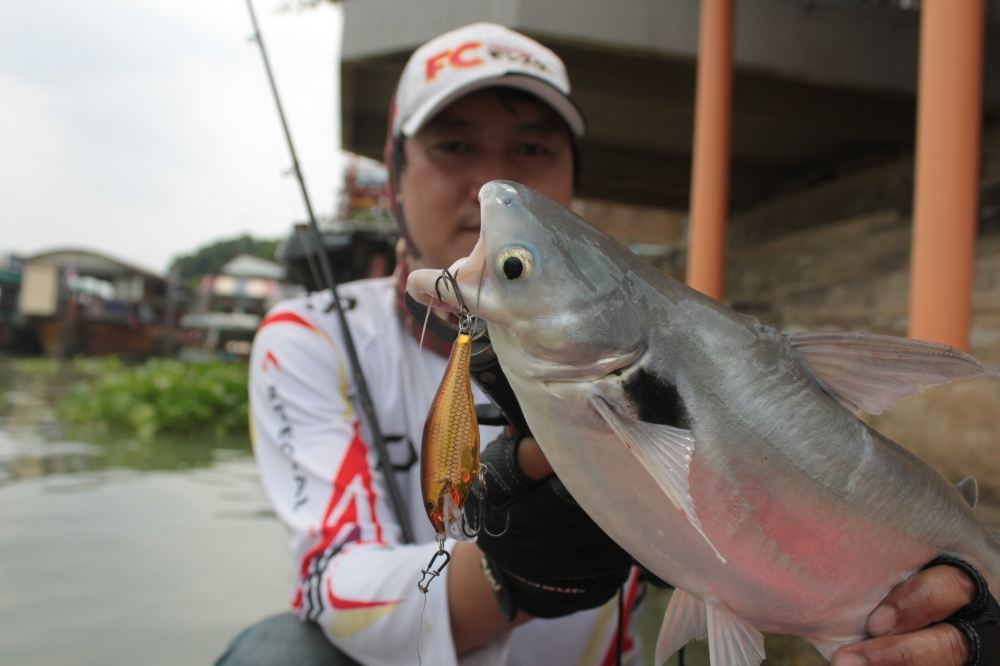 Rapala Scatter Shad Rap