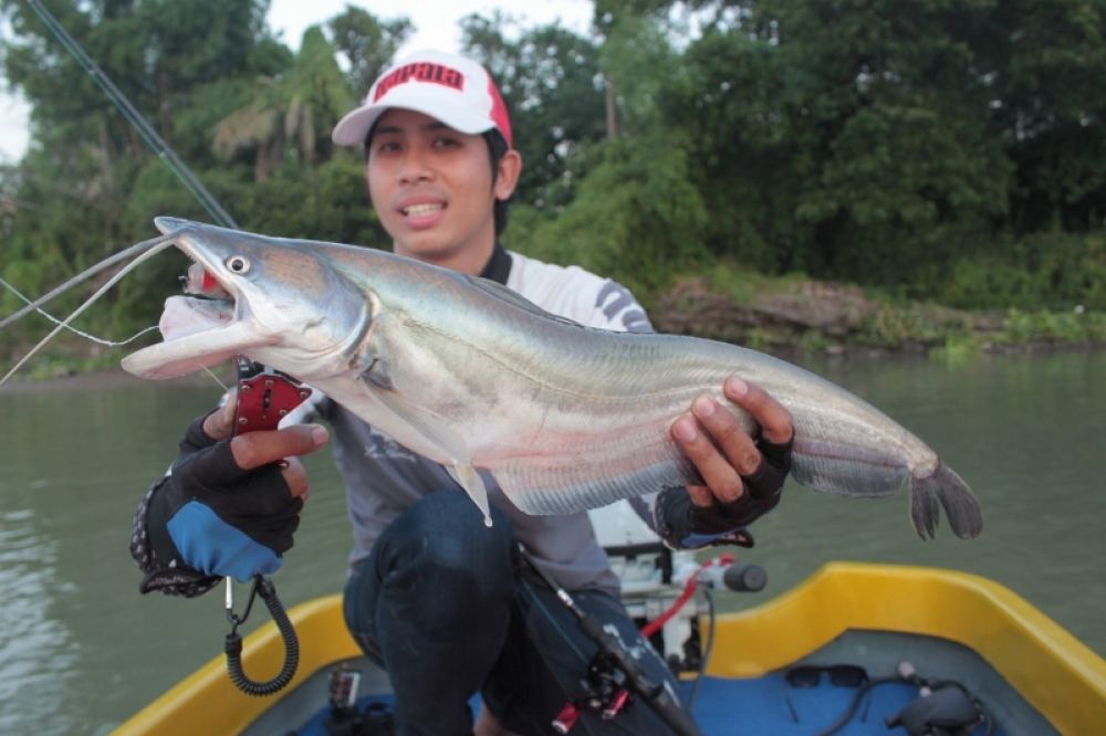 Rapala SSR 7:B :cheer: :cheer: :cheer: