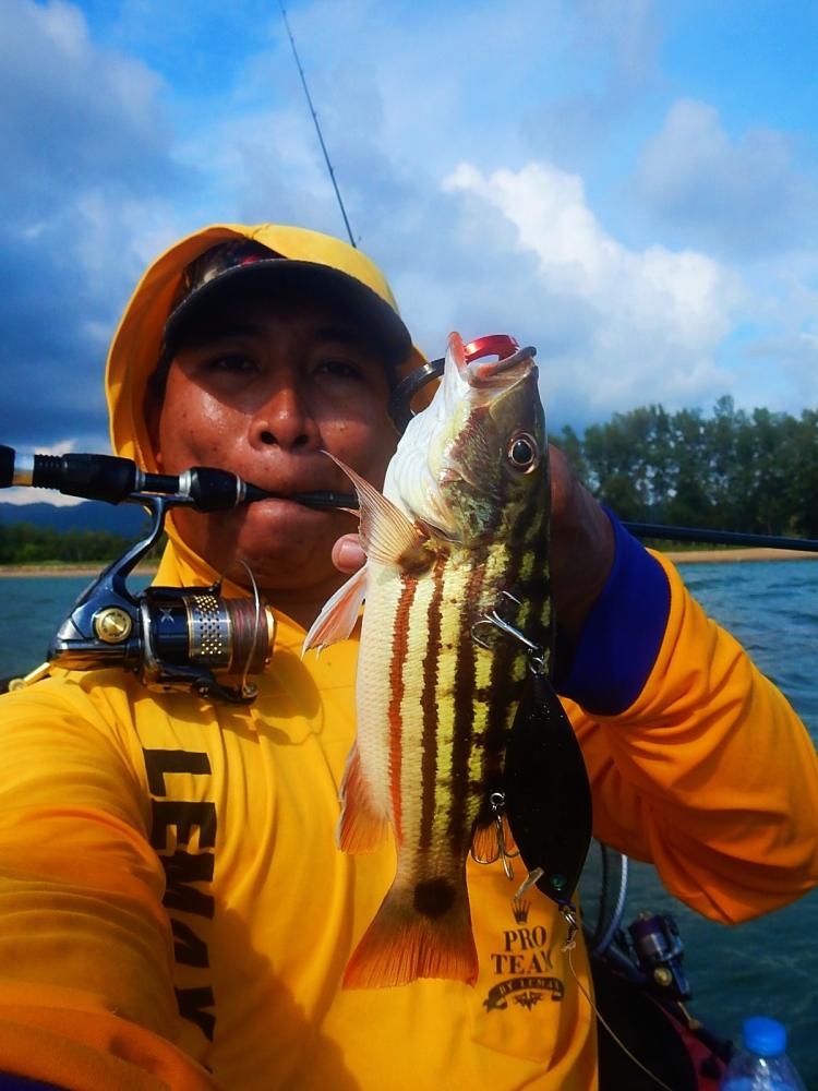 
 [center]คันหมานของผมที่ถูกเปลี่ยนมาเป็น 
St.croix LEGENDXTREME SPINNING ROD LXS76MF2 6 - 12[/cen
