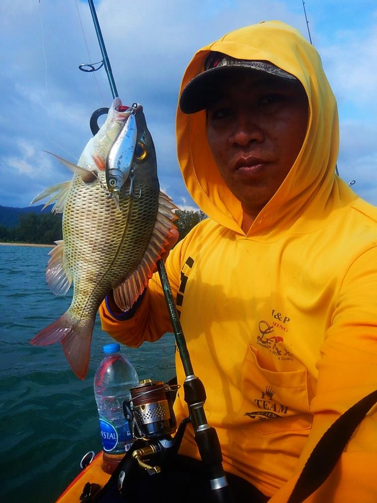  [center] [b]Rod : St.croixLEGENDXTREME SPINNING ROD LXS76MF2 6 - 12 
Reel : Shimano '2010 Stella 