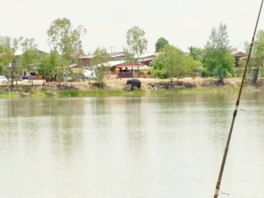 ครั้งแรกอัพรูปผ่านสมาร์ทโฟน กับทีมงานพยัคฆ์เมฆา เยือนสุรินทร์ถิ่งช้างใหญ่ครับผม