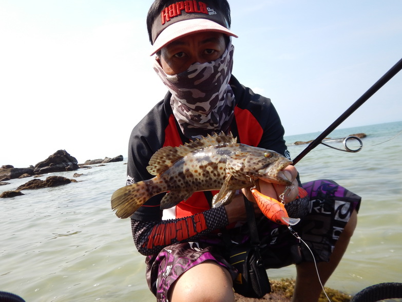 

ปลาเก๋าชายฝั่งกับเหยื่อ rapala scatter rap crank 5  :love: :love: :love: :love: :love: :love:

