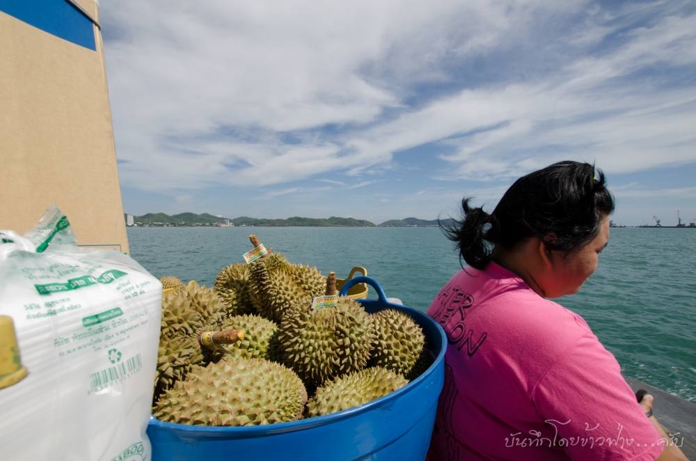  [b]บรรยากาศบนเรือข้ามเกาะคงไม่เหมือนหลายๆเกาะที่พรั่งพรูไปด้วยชนเผ่าหัวทองสะพายเป้ แต่จะกลายเป็นของ