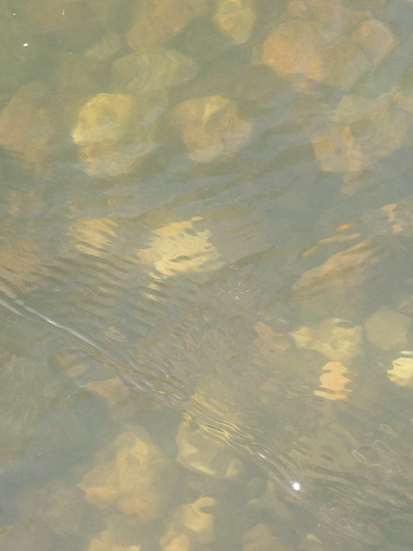  [b]กลับมาหมายเดิมแถวบ้านพัก น้ำที่นี่ใสมากๆครับ ผมนั่งมองดูเห็นลูกปลากระสูบอยู่รวมกันเป็นฝูงเลย สงส