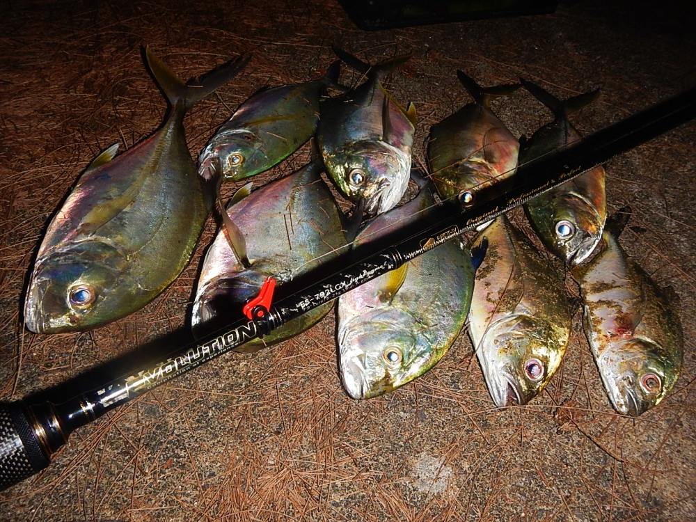 
 [center]อย่างของผม ที่ผมหยิบชุดนี้มาใช้ มันส์สุดๆจริงคร๊าฟฟฟฟ  

[b]Rod : HEARTY RISE EVOLUTION