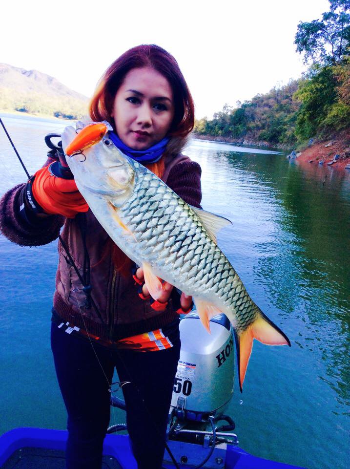  


[center]จิบเล็กๆก็โดน Rapala Fat Rap 5[/center]