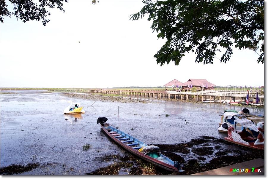 
 [center]ถึงแล้ว ถึงแล้วอุทยานนกน้ำทะเลน้อย จ.พัทลุง.[/center]