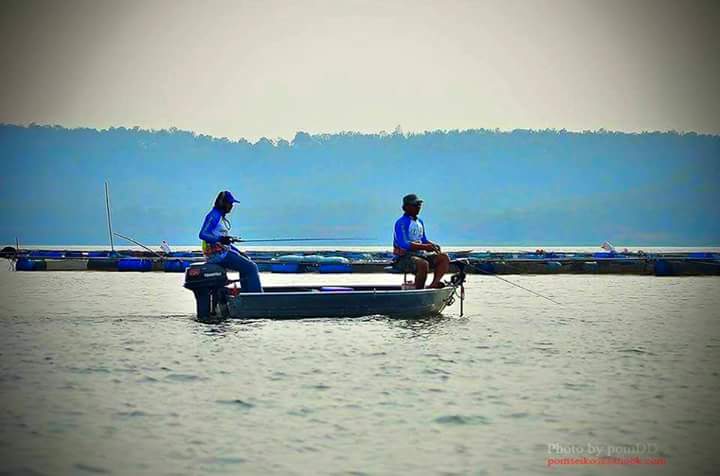 ร่องเรือลัดเลาะกระชังไปเรื่อยๆ ตียัดกระชังให้ใกล้ที่สุด เดี๋ยวก็โดน ทั้งป๊อปและปลั๊ก