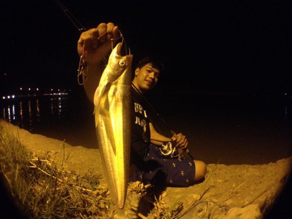 "night Fishing" กับปลา เบี้ยว ปากคลอง อยุธยา