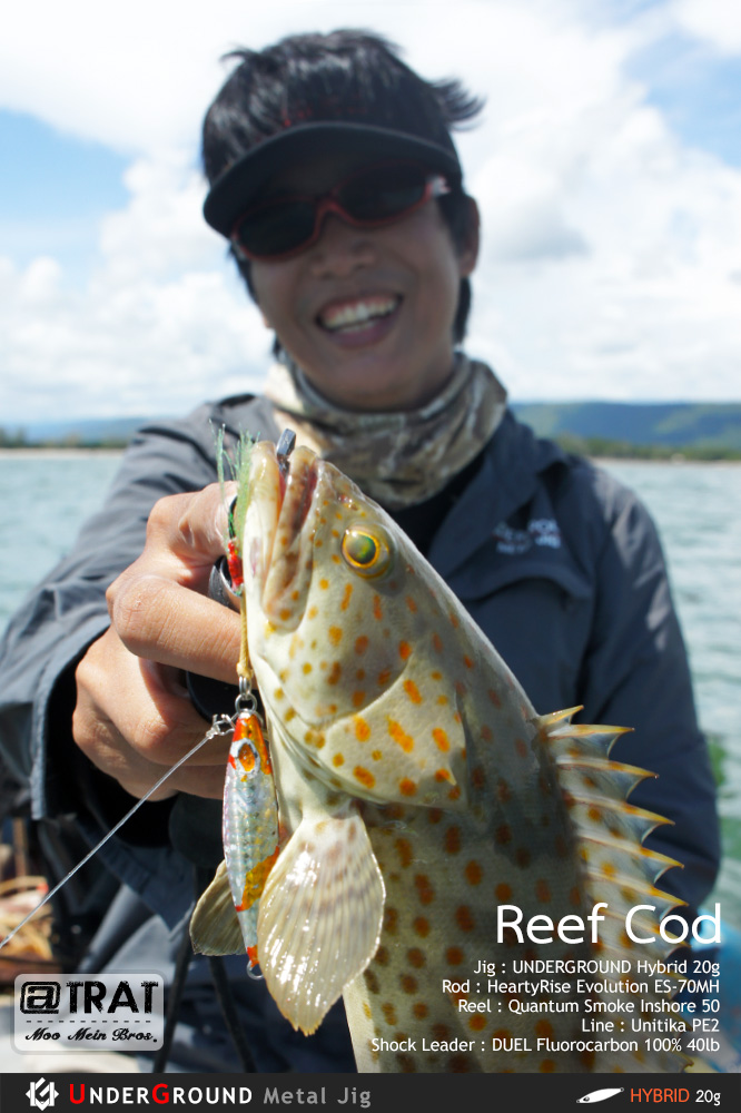 [center]เก๋าแท้ Reef Cod ใกล้กับจุดที่ได้กะพงขาว

ช่วงตะกอนน้ำขาวขุ่น ปลาสีไม่เข้ม ไปคล้ายกับเก๋าห