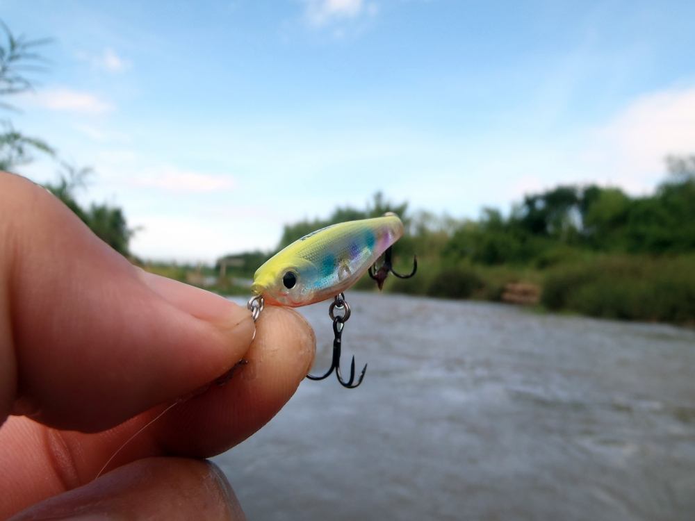 [center]เหยื่อ Sinking Lipless ขนาด 3 cm. ถูกเลือกขึ้นมาเพื่อนำร่องสำหรับหมายนี้ซึ่งน้ำส่วนใหญ่ลึกไม