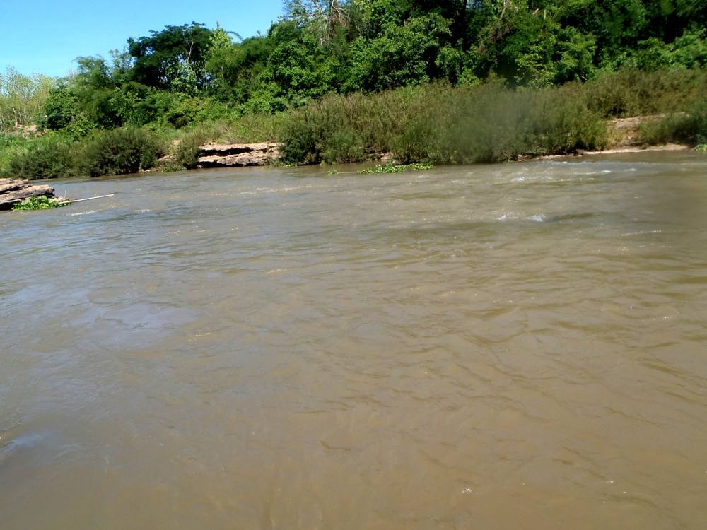 [center]ตัวนี้พยายามมุดหินต้องออกแรงงัดกันหน่อย[/center]