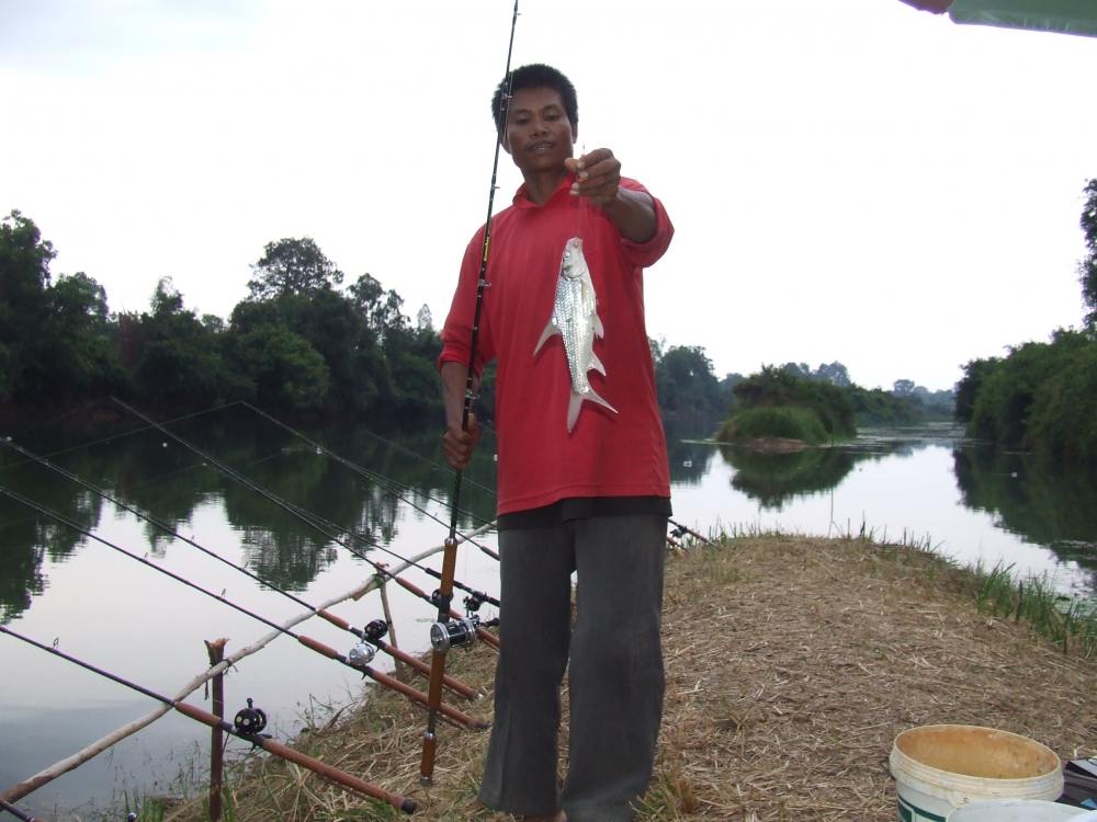 คุณหมี กับตะโกก ขนาด โล