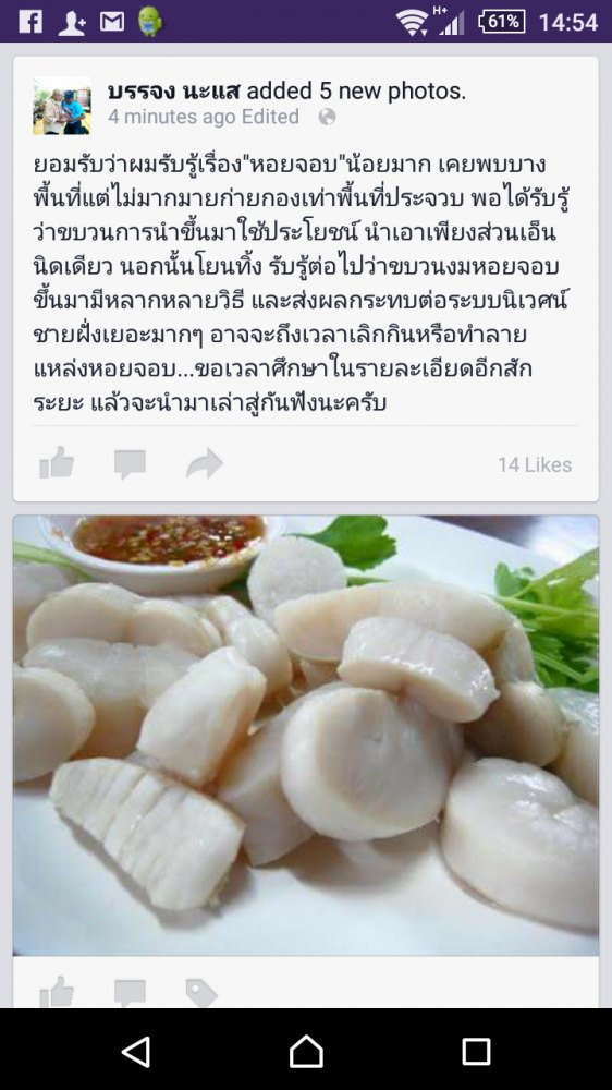 การหาหอยจอบ. ทำลายสิ่งแวดล้อม. ร่วมกันไม่กินหอยจอบ