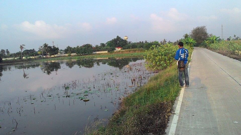 ร ว ม มิ ต ร กับ ภ า ร ะ กิ จ ข้ า ง ท า ง  บ า ง ใ ห ญ่/ SnakeHead Angler Club 