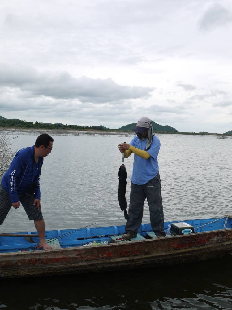 ไล่ตีกันอยู่สักพัก เรือคุณโอ๋ก็เข้ามาหาพร้อมกับโชว์ของดำให้ดู
 :love: :love: :love: :love: