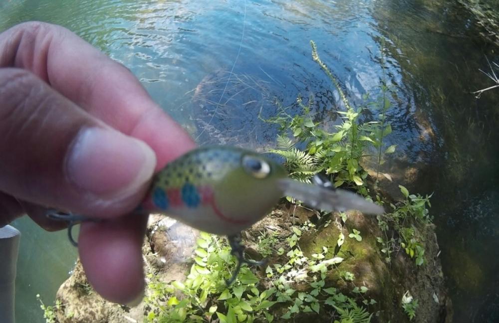 คว้าเหยื่อRapala Ultra Light Crank" ลงเล่นน้ำตก สักนิสๆสะหน่อยครับ :cheer: :cheer: