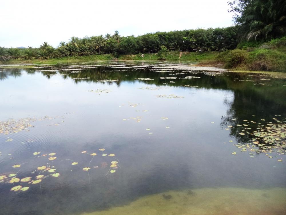 
 [center]อาจจะเป็น   ข่าวลวง   ให้เพรี้ยงพร้ำ[/center]

 [center]ยกทัพนำ   ขุนศึกมา   ให้เสียเที