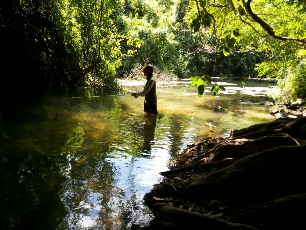 และภาพเหล่านี้......ขาดเสียเลยมิได้ภาพทีสวยงามและความประทับใจมิรุ้ลืม..ทีได้มาตกปลาในสถานทีแบบนี้ ต้