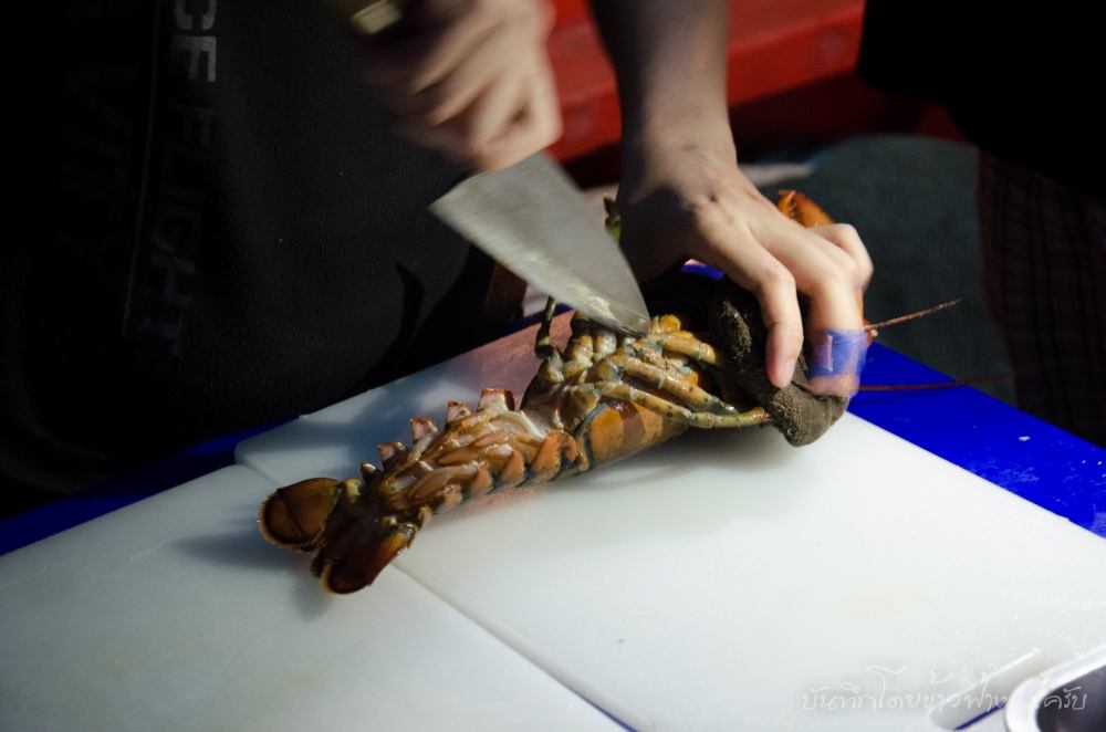  [b]เมนูต่อไป canadian lobster ที่เห็นนี่เป็นๆนะครับ วางบนน้ำแข็งอยู่ได้หลายวันนะครับ มันอยู่ในอุณภู